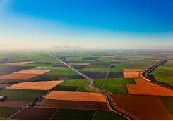 Central Valley