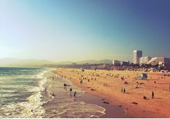 Venice beach