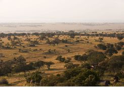 Tanzania scenery