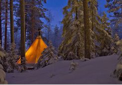 aurora safari camp tent
