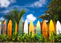 Surfboards