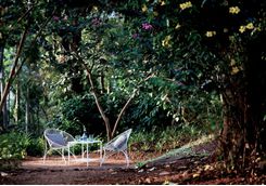 Rajakkad chairs