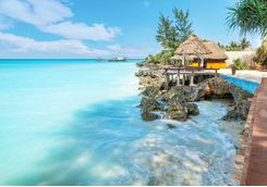 The tropical coast in Zanzibar