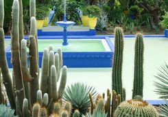 Cacti Garden in Marrakech