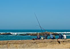 Fishing in Essaouira
