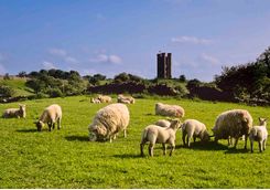Broadway Tower