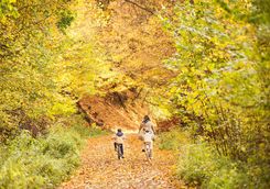 Cycling through an Autumnal wood