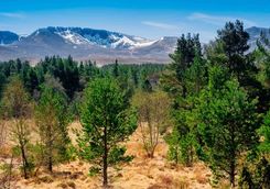 Caringorms National Park
