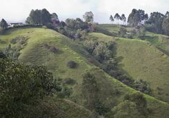 Hills of Armenia