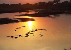 Sunset over South Luangwa