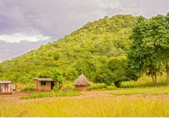 Local village