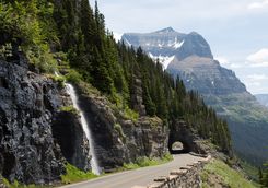 Waterfall in Forest Glacier National Park