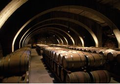 Barrels of wine in cellar