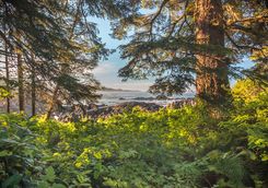 Wild Pacific Trail