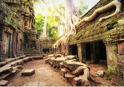 Ta Prohm