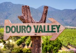 vineyard sign
