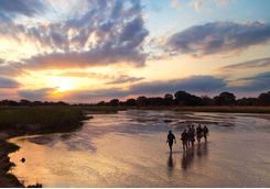 Walking safari in Luangwa