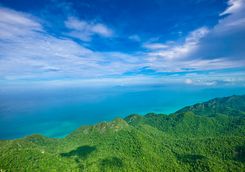 Sea view over the rainforest