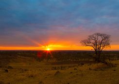 Zambian Sunset