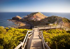 Coastal path