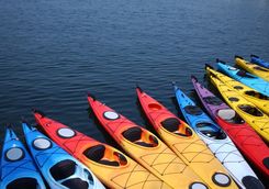 Kayaks in Queensland