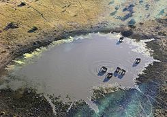 The Okavango Delta from above