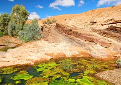 Flinders Range Gorge