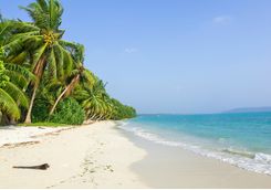 Palm Beach