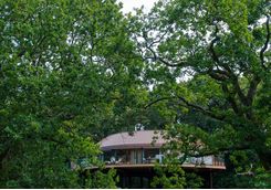 Chewton Glen's treehouses