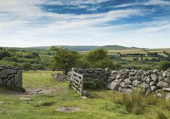 Dartmoor National Park