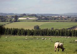 Boyne valley