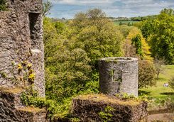 Blarney Castle
