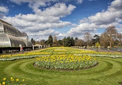 Flowers at Kew