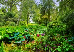 English Gardens