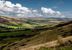 Countryside - rolling hills
