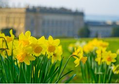 Chatsworth House in spring