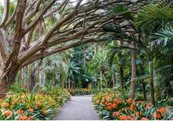 botanical-gardens-walkway