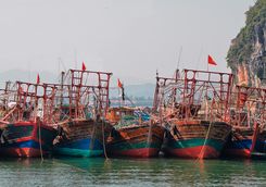 bai tu long boats