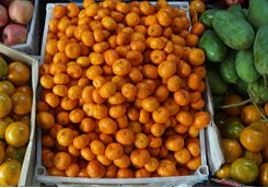 phnom penh food market
