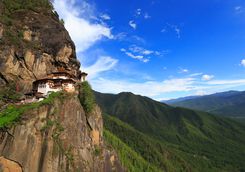 Tigers nest hillside