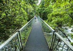 daintree river