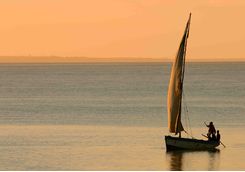 Dhow at sunset
