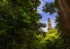 Tikal