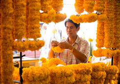 flower market