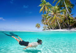 Diving sea