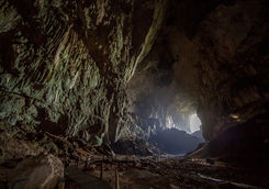 Deer cave