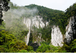 Deer cave