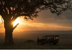 masai mara