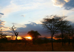 serengeti sunset