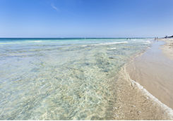 diani